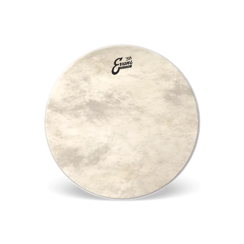 Evans Calftone 16″ Bass Batter Head