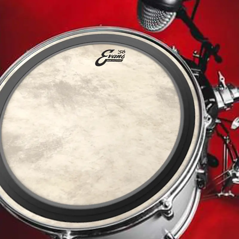 Evans EMAD Calftone Tom Batter Head (16″)