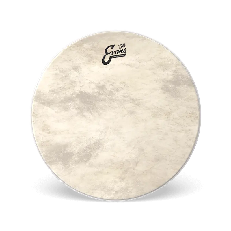 Evans EQ4 Calftone Bass Drum Batter Head
